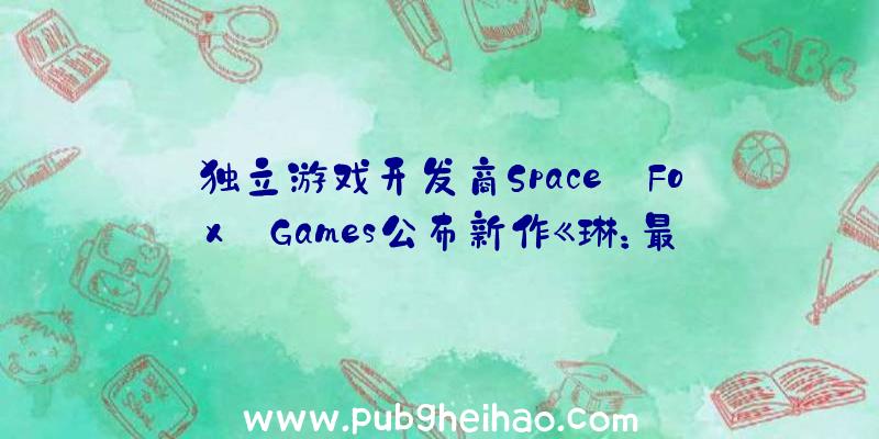 独立游戏开发商Space